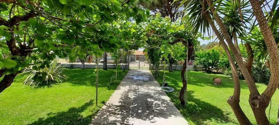 Beach House For Up To 9 People Near Olympia Katakolo Exterior foto